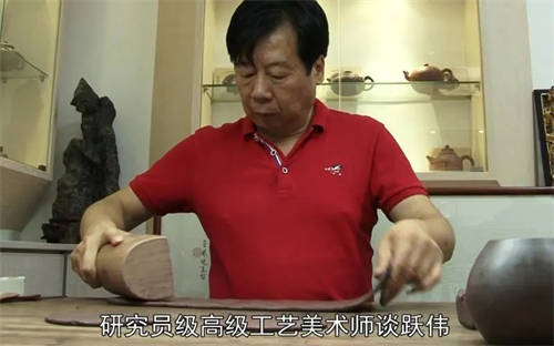 談躍偉個(gè)人簡介